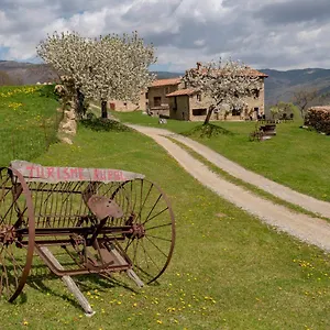 Galló Llanars